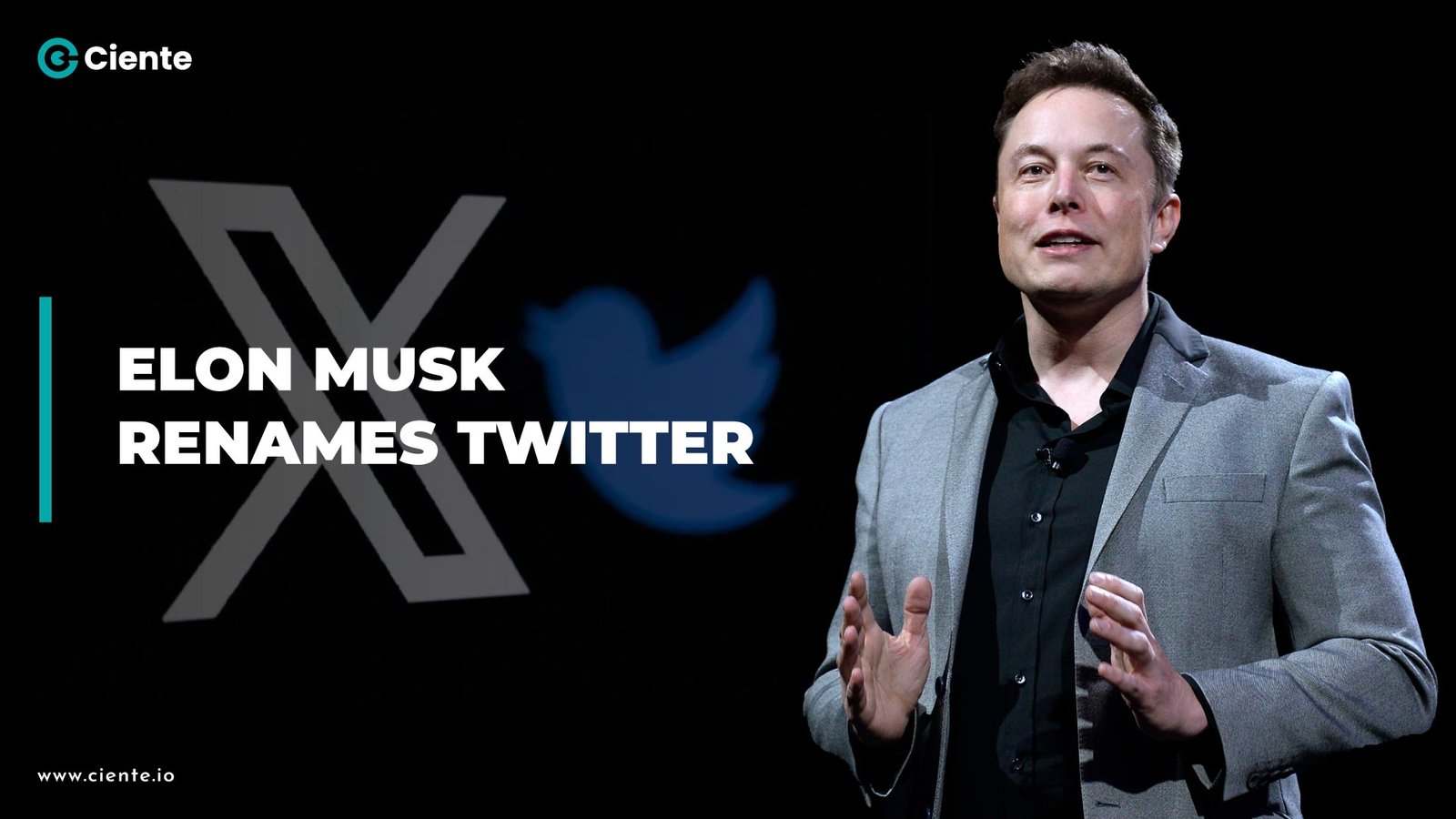 Elon-Musk-Renames-Twitter