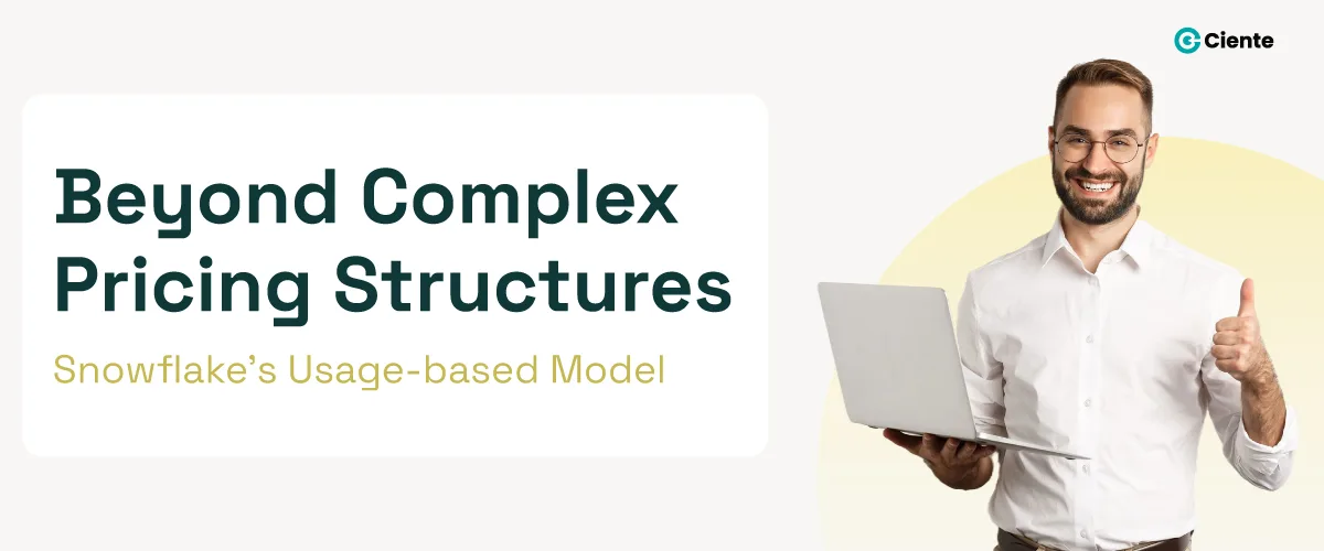 Beyond Complex Pricing Structures: Snowflake's Usage-based Model
