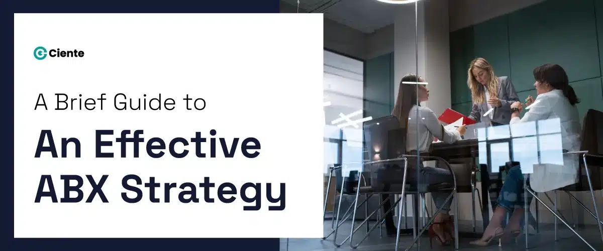 A Brief Guide to An Effective ABX Strategy